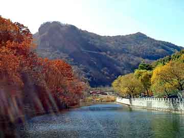 新澳天天开奖资料大全旅游团，三效疤复平